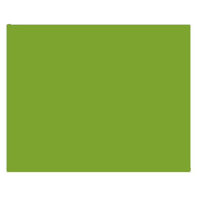 25g Sugarflair Colours: Christmas Green
